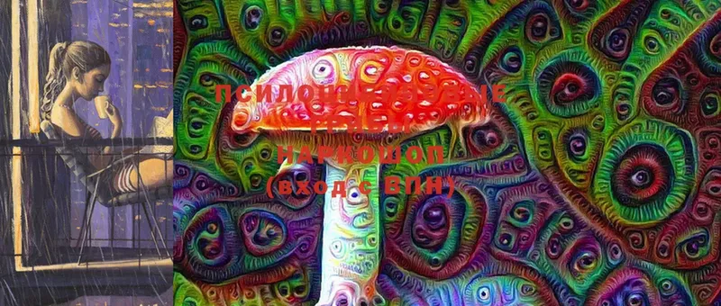 Псилоцибиновые грибы Cubensis Челябинск